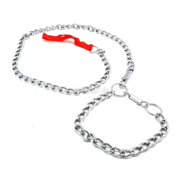 Laisse en métal dog