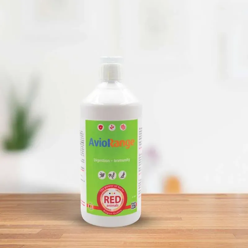 Red Animal’s AVIORANGE