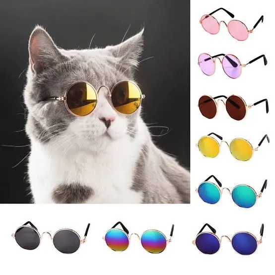 نظارات القطط