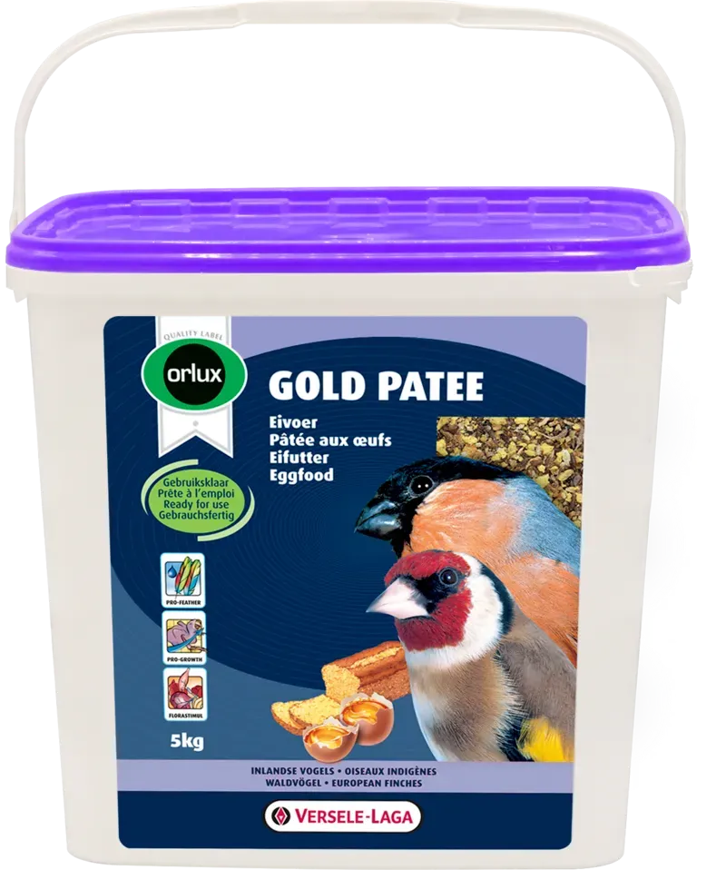  Patee Oiseaux indigènes