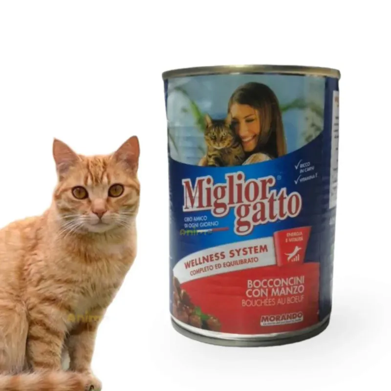 Boite conserve pour chat Miglior Italie