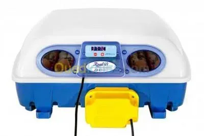 فقاسة بيض إيطالي زرقاء 