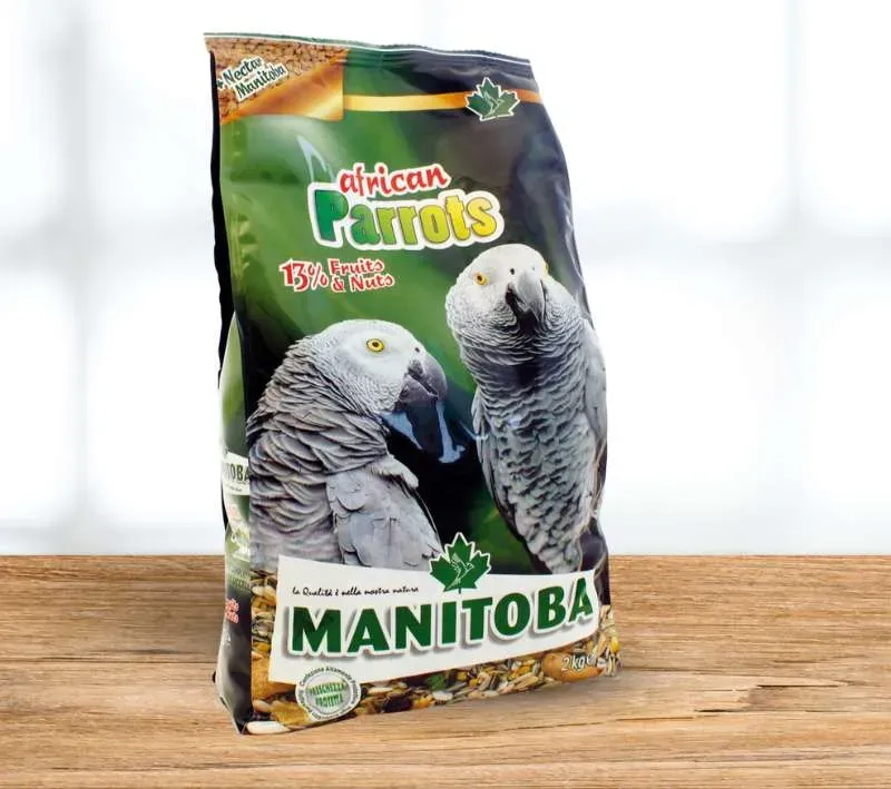 Manitoba Perroquet Africain