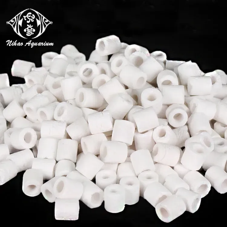 Bacteria House Ceramic